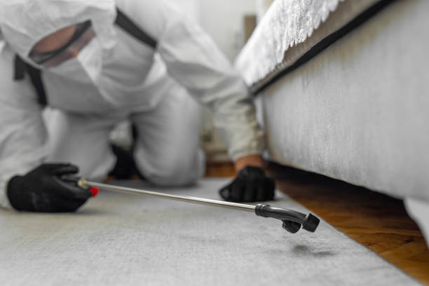 Professional Cockroach Control technician working in Inniswold, LA